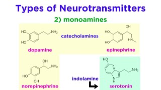 Neurotransmitters Type Structure and Function [upl. by Chud]