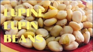 LUPINI  LUPIN BEANS HOW TO COOK [upl. by Niran690]