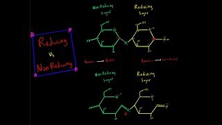 Reducing Sugar vs Nonreducing Sugar Acetal Hemiacetal Carbohydrate Biochemistry MCAT [upl. by Mcmullan]