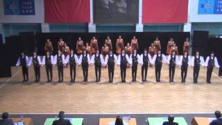 Turkish Folk Dances  HORON [upl. by Blair]