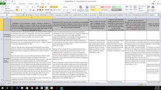 How to Create a Literature Matrix Excel [upl. by Oilegor304]