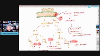 A Guide To Omega 3 Fatty Acids [upl. by Niboc281]