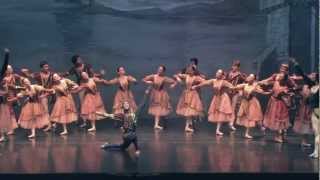 HSW Gdynia  Moscow City Ballet Jezioro Łabędzie [upl. by Okihcim924]