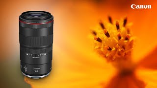 The Canon RF 100mm F28 L Macro IS USM  Handson Review [upl. by Ecar]