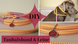 DIY  Einfaches Tauhalsband mit Leine [upl. by Shrier]