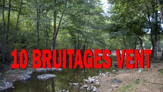 10 BRUITAGES VENT [upl. by Ydnas]