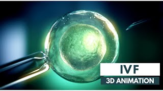 How IVF works  3D Animation [upl. by Maggio]