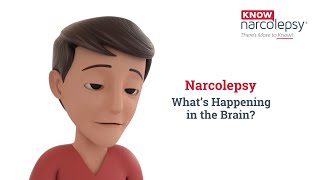 Narcolepsy What’s Happening in the Brain [upl. by Corine695]