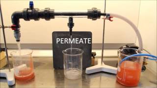 Cross Flow Filtration on SiC Membranes [upl. by Ades94]