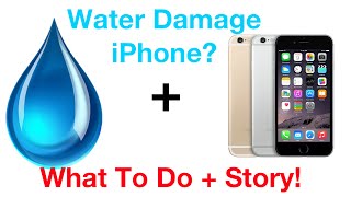 Dropped iPhone 6 in Water  What To Do  Story [upl. by Anawyt527]