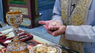 Holy Eucharist Communion of the Clergy [upl. by Hambley]