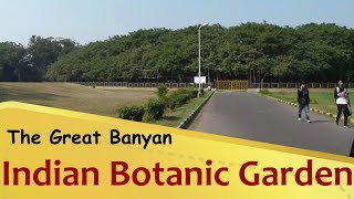 quotIndian Botanical Gardenquot The Great Banyan  Howrah  West Bengal Tourism [upl. by Attaynik210]