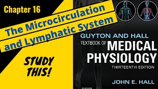 Guyton and Hall Medical Physiology Chapter 16REVIEW Microcirculation and Lymphatics  Study This [upl. by Akisey]