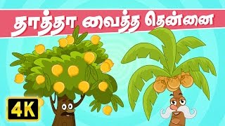 Thatha Vaitha Thennai  chellame chellaml  Tamil Rhymes for kutties [upl. by Emmie]