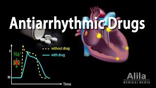 Antiarrhythmic Drugs Animation [upl. by Ayt]