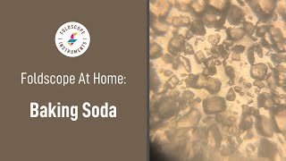 Foldscope at Home Baking Soda [upl. by Hanafee]