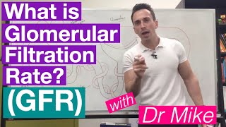 Glomerular Filtration Rate GFR  Renal System [upl. by Nole]