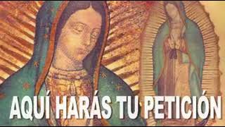 HERMOSA ORACIÓN A LA VIRGEN DE GUADALUPE ¡COMPÁRTELA [upl. by Arres]