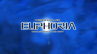 Red Jerry Deep amp Chilled Euphoria CD1 [upl. by Grearson2]