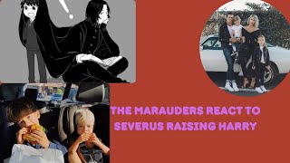 The Marauders React To Severus Raising Harry ￼ Harry Potter [upl. by Leidag]