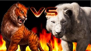 Smilodon Populator VS American Lion [upl. by Jonah933]