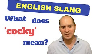 English Slang Meaning of Cocky [upl. by Eibrik]