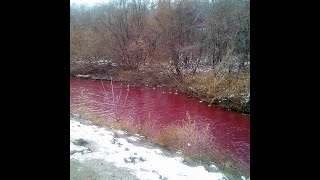 Blood Red Iskitimka River Kemerovo Russia [upl. by Enilkcaj371]