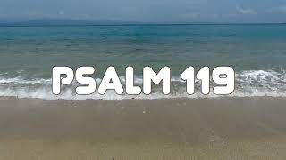 Psalms 119KING JAMES HOLY BIBLE KJV [upl. by Eerrehc]