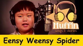 Eensy Weensy Spider Itsy Bitsy  Family Sing Along  Muffin Songs [upl. by Annaeerb]