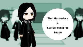 The Marauders  Lucius react to Snape [upl. by Sena662]