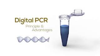 Digital PCR Principle amp Advantages [upl. by Markiv309]