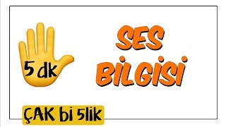 5 dkda Ses Bilgisi  Çak Bi 5lik [upl. by Akemor]