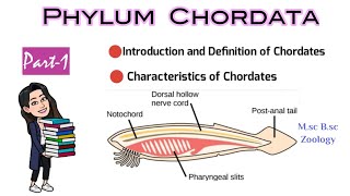 Part1 Introduction and Definition of ChordatesCharacteristics of ChordatesMsc Bsc Zoology NEET [upl. by Red]