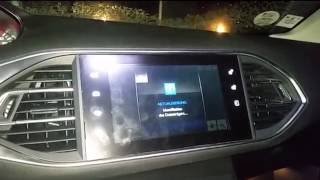 Peugeot 308 SMEG  SMEG Firmware Update HowTo Anleitung [upl. by Christye104]