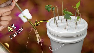 FASTEST METHOD OF ROOTING PLANT CUTTINGS  DIY HYDROPONIC CLONER [upl. by Rashidi80]