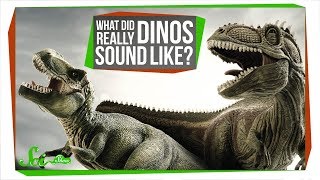 What Did Dinosaurs Really Sound Like [upl. by Ibed]