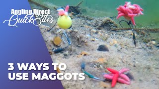 AD Quickbite – 3 Ways To Use Maggots [upl. by Aikemot438]