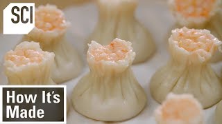 How to Make Dumplings  How Its Made [upl. by Bren]