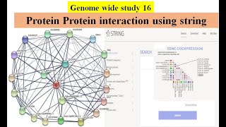 Genome wide study Part 16  Protein Protein interaction PPI network using STRING database [upl. by Ber]