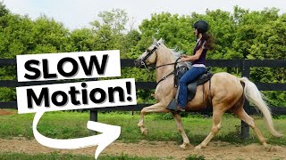 Incredible Horses in Slow Motion [upl. by Enyrhtac]