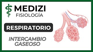 Clase 39 Fisiología Respiratoria  Intercambio Gaseoso Pulmonar Hematosis IGdoctorpaiva [upl. by Akirehc]