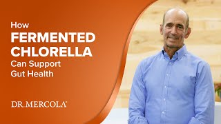 How FERMENTED CHLORELLA Can Support Gut Health [upl. by Ricca]