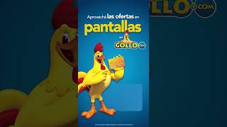 Pantallas  Gollo [upl. by Sydney]