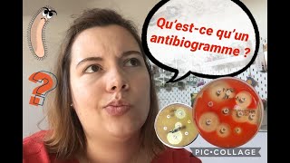 🦠 Questce quun antibiogramme  🧫 [upl. by Araihc]