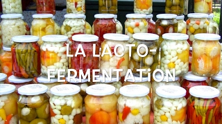 20 La Lactofermentation [upl. by Magdalene955]