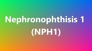 Nephronophthisis 1 NPH1  Medical Definition and Pronunciation [upl. by Nameerf]