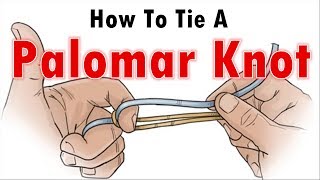 How To Tie A Fishing Knot How To Tie A Palomar Knot [upl. by Nanine486]