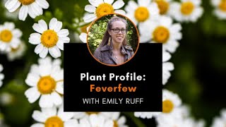 Plant Profile Feverfew with Emily [upl. by Pang]