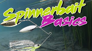 Bass Fishing Basics How To Fish A Spinnerbait [upl. by Aelrac]