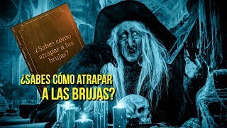 ¿Sabes cómo atrapar a las brujas UNAM Global [upl. by Eiramllij]